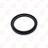 RADIAL SEAL RING