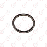 RADIAL SEAL RING