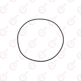 ORING (O275X4N)
