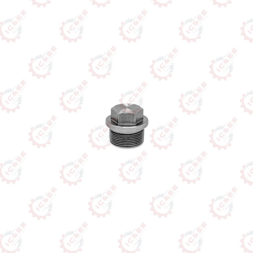 SCREW PLUG