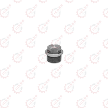 Load image into Gallery viewer, SCREW PLUG