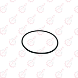 ORING FOR FILTER 99707775371, 99707308837 (164.47X5.33MM)