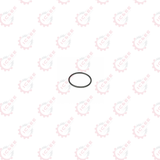 PLANETARY PIN ORING (O35X2N)