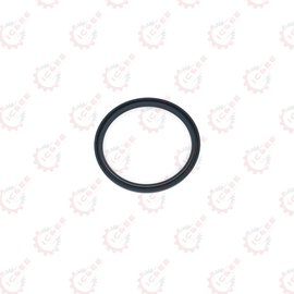 f0e54a4b-e359-418d-b59d-c7c8482fbef0