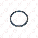 RADIAL SEAL RING