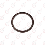 RADIAL SEAL RING