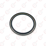RADIAL SEAL RING